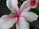 SAM_0310