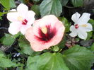 SAM_0301