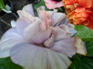 SAM_0284
