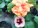 SAM_0280