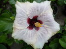 SAM_0261