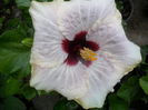 SAM_0260