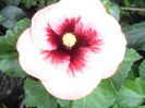 SAM_0257