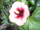 SAM_0256