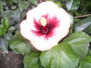 SAM_0255