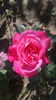 20150920_121423