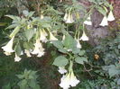 SAM_0387
