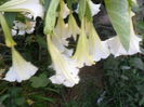 SAM_0375