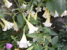 SAM_0373