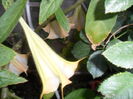 SAM_0359
