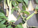 SAM_0358