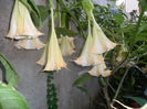 SAM_0355