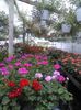 20150520_183711
