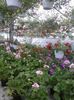 20150520_183725
