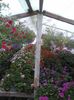 20150520_183740