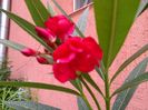 IMG_20150922_094039