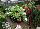 IMG_20150922_094344