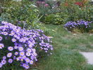 22 sept 004