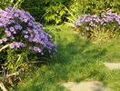 22 sept 087