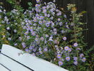 22 sept 009