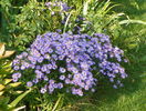 22 sept 042