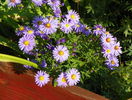 22 sept 046