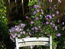22 sept 075