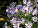 22 sept 076