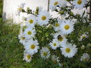 22 sept 082