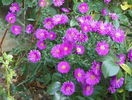 22 sept 090