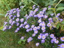 22 sept 091
