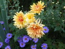 22 sept 092