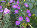22 sept 093