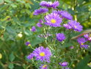 22 sept 094