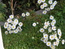 22 sept 096