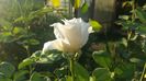 20150920_182614