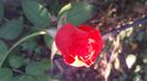 20150920_182535