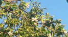 20150920_182209