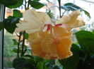 DSC03701
