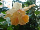 DSC03702