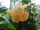 DSC03705