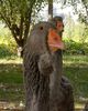 SAM_7768