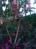 20150920_192848