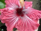 SAM_0417