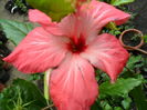 SAM_0399