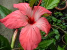 SAM_0396