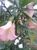 20150713_190855