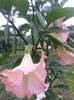 20150713_190902