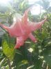 20150718_075738