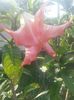 20150718_075740